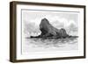 Lion Island, Australia, 1886-null-Framed Giclee Print