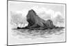 Lion Island, Australia, 1886-null-Mounted Giclee Print