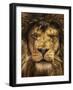 Lion King-Carrie Ann Grippo-Pike-Framed Photographic Print