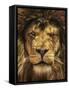 Lion King-Carrie Ann Grippo-Pike-Framed Stretched Canvas