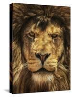 Lion King-Carrie Ann Grippo-Pike-Stretched Canvas