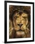 Lion King-Carrie Ann Grippo-Pike-Framed Photographic Print