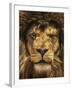 Lion King-Carrie Ann Grippo-Pike-Framed Photographic Print