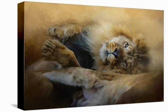 Lion Love 2-Jai Johnson-Stretched Canvas