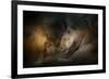 Lion Love-Jai Johnson-Framed Giclee Print