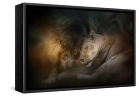 Lion Love-Jai Johnson-Framed Stretched Canvas