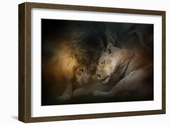 Lion Love-Jai Johnson-Framed Giclee Print