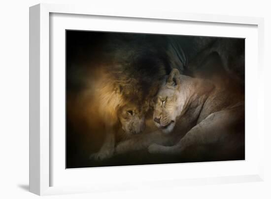 Lion Love-Jai Johnson-Framed Giclee Print