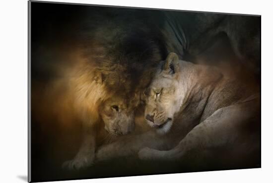 Lion Love-Jai Johnson-Mounted Giclee Print