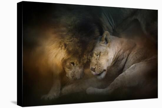 Lion Love-Jai Johnson-Stretched Canvas
