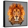 Lion Low Poly Portrait-kakmyc-Framed Stretched Canvas