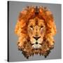 Lion Low Poly Portrait-kakmyc-Stretched Canvas