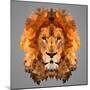 Lion Low Poly Portrait-kakmyc-Mounted Art Print