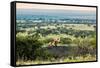 Lion Lying on Rocks and Roars on Savanna at Sunset. Safari in Serengeti, Tanzania, Africa-Michal Bednarek-Framed Stretched Canvas