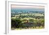 Lion Lying on Rocks and Roars on Savanna at Sunset. Safari in Serengeti, Tanzania, Africa-Michal Bednarek-Framed Photographic Print