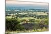 Lion Lying on Rocks and Roars on Savanna at Sunset. Safari in Serengeti, Tanzania, Africa-Michal Bednarek-Mounted Photographic Print