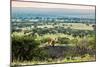 Lion Lying on Rocks and Roars on Savanna at Sunset. Safari in Serengeti, Tanzania, Africa-Michal Bednarek-Mounted Photographic Print