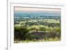 Lion Lying on Rocks and Roars on Savanna at Sunset. Safari in Serengeti, Tanzania, Africa-Michal Bednarek-Framed Photographic Print