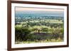 Lion Lying on Rocks and Roars on Savanna at Sunset. Safari in Serengeti, Tanzania, Africa-Michal Bednarek-Framed Photographic Print