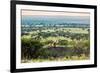 Lion Lying on Rocks and Roars on Savanna at Sunset. Safari in Serengeti, Tanzania, Africa-Michal Bednarek-Framed Photographic Print