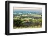 Lion Lying on Rocks and Roars on Savanna at Sunset. Safari in Serengeti, Tanzania, Africa-Michal Bednarek-Framed Photographic Print