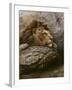 Lion Male 2-Harro Maass-Framed Giclee Print