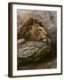 Lion Male 2-Harro Maass-Framed Giclee Print