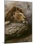 Lion Male 2-Harro Maass-Mounted Giclee Print