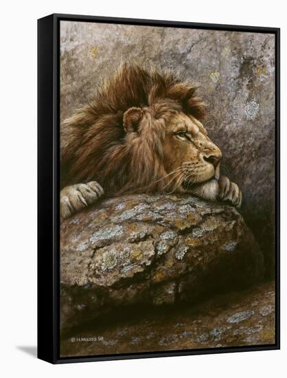 Lion Male 2-Harro Maass-Framed Stretched Canvas