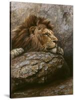 Lion Male 2-Harro Maass-Stretched Canvas