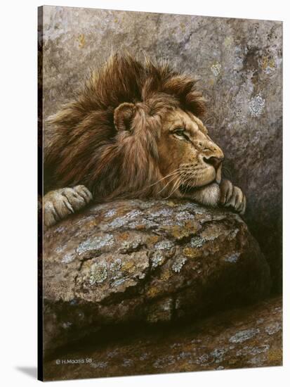 Lion Male 2-Harro Maass-Stretched Canvas