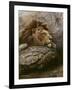 Lion Male 2-Harro Maass-Framed Giclee Print