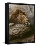 Lion Male 2-Harro Maass-Framed Stretched Canvas