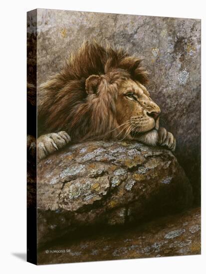 Lion Male 2-Harro Maass-Stretched Canvas