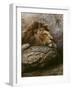 Lion Male 2-Harro Maass-Framed Giclee Print