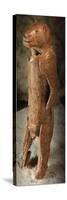 Lion Man of the Hohlenstein Stadel-Prehistoric Art-Stretched Canvas