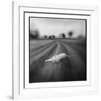 Lion, Masai Mara Game Reserve, Kenya-Paul Souders-Framed Photographic Print