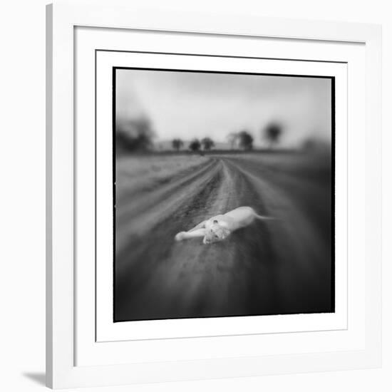 Lion, Masai Mara Game Reserve, Kenya-Paul Souders-Framed Photographic Print