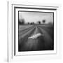 Lion, Masai Mara Game Reserve, Kenya-Paul Souders-Framed Photographic Print