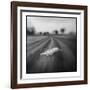 Lion, Masai Mara Game Reserve, Kenya-Paul Souders-Framed Photographic Print