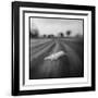 Lion, Masai Mara Game Reserve, Kenya-Paul Souders-Framed Photographic Print