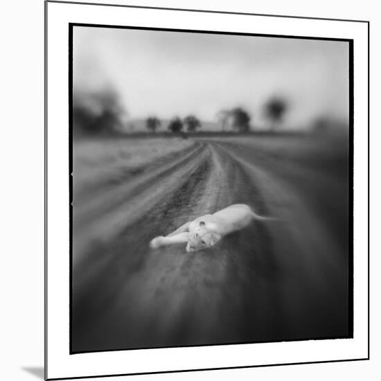 Lion, Masai Mara Game Reserve, Kenya-Paul Souders-Mounted Photographic Print