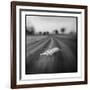 Lion, Masai Mara Game Reserve, Kenya-Paul Souders-Framed Photographic Print