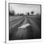 Lion, Masai Mara Game Reserve, Kenya-Paul Souders-Stretched Canvas