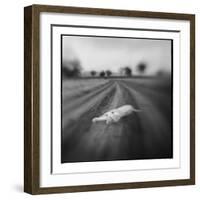 Lion, Masai Mara Game Reserve, Kenya-Paul Souders-Framed Photographic Print