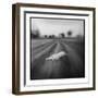 Lion, Masai Mara Game Reserve, Kenya-Paul Souders-Framed Photographic Print