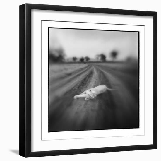 Lion, Masai Mara Game Reserve, Kenya-Paul Souders-Framed Photographic Print