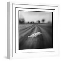 Lion, Masai Mara Game Reserve, Kenya-Paul Souders-Framed Photographic Print