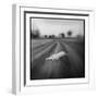 Lion, Masai Mara Game Reserve, Kenya-Paul Souders-Framed Photographic Print