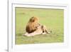 Lion, Masai Mara, Kenya, East Africa, Africa-Karen Deakin-Framed Photographic Print